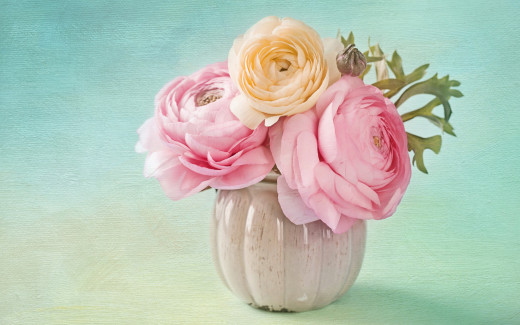 951736 (a): :2880x1800